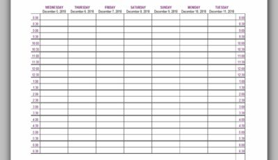 Appointment Schedule Template 03