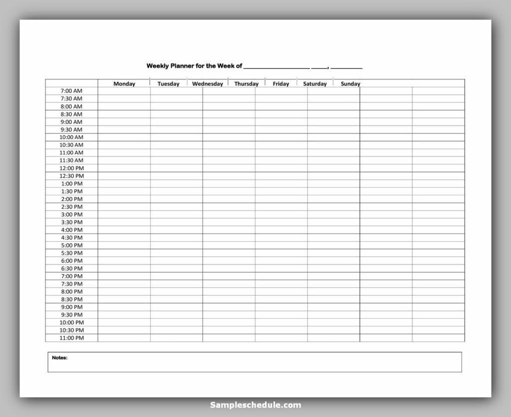 Hourly Schedule Template 02