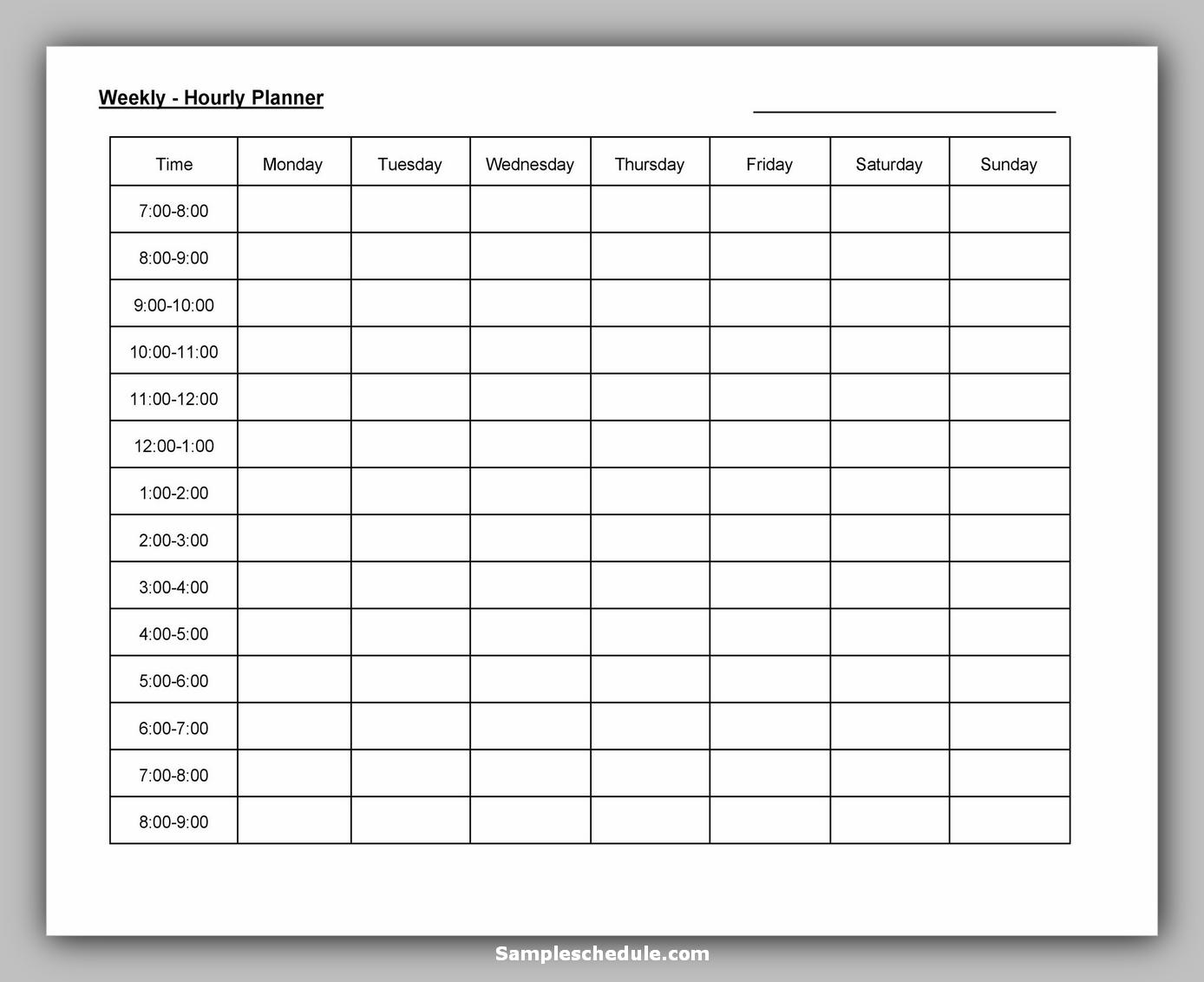 Hourly Schedule Template 14