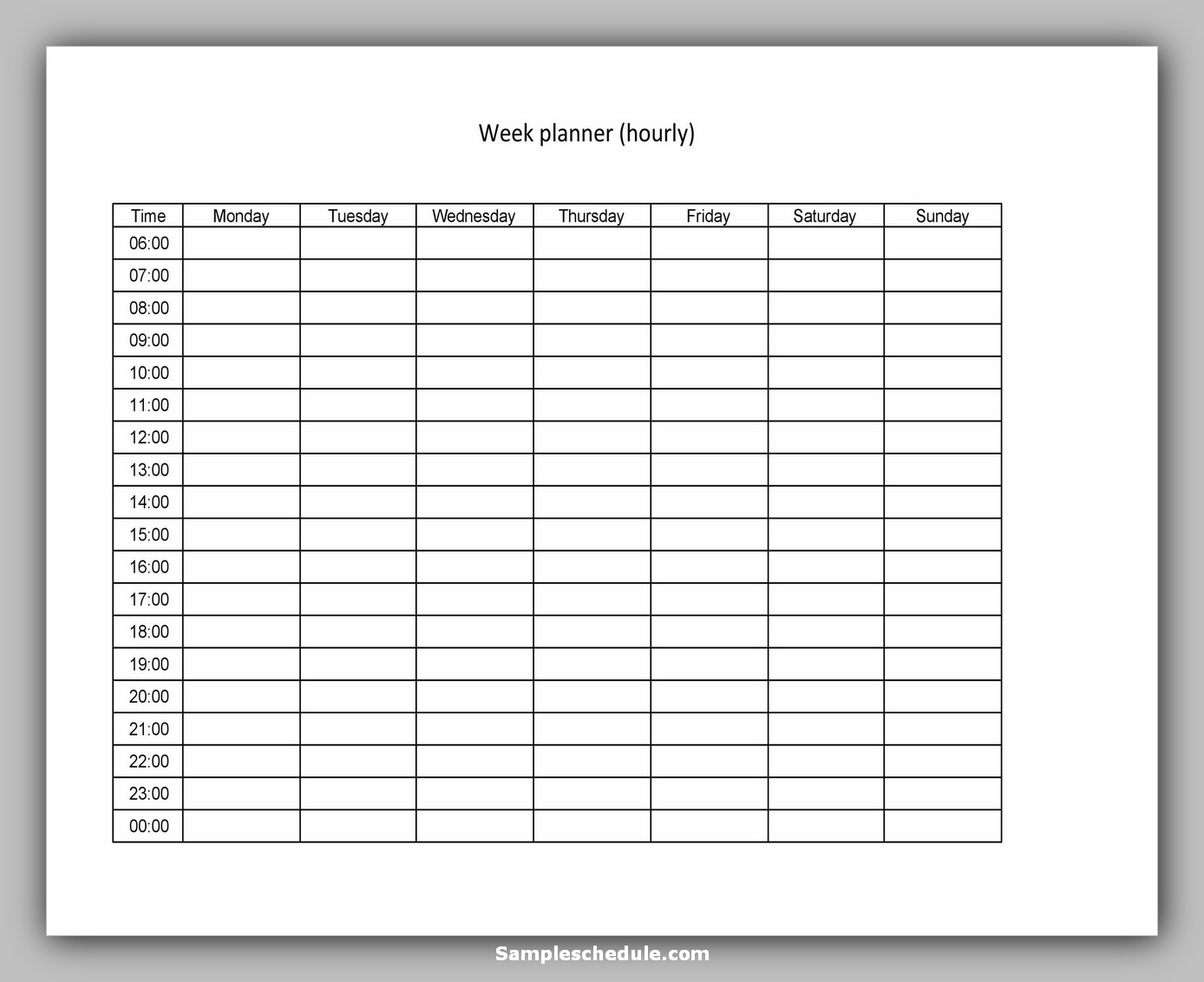 Hourly Schedule Template 16