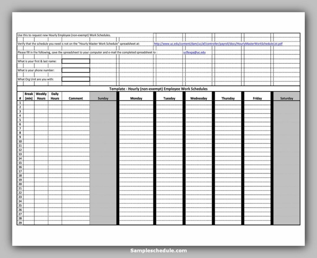 Hourly Schedule Template 20