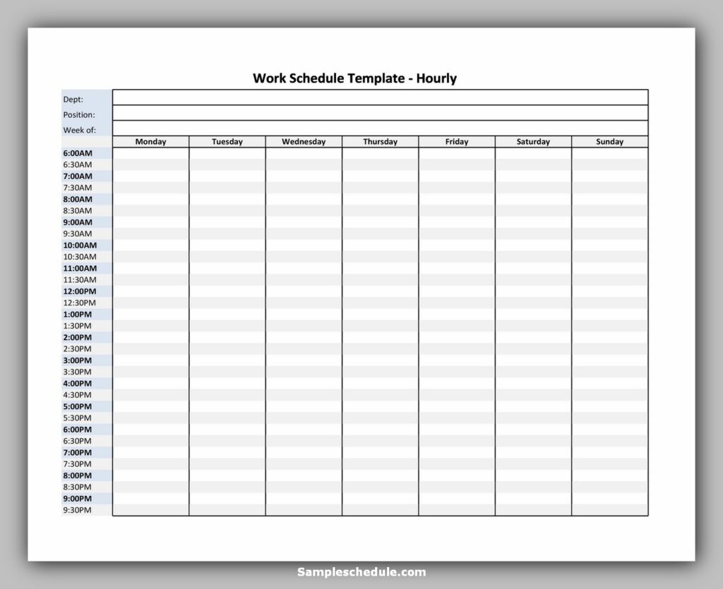 Hourly Schedule Template 23