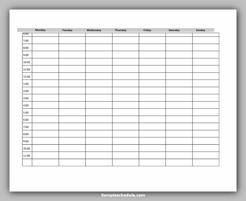 Hourly Schedule Template 25