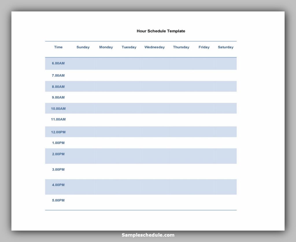 Hourly Schedule Template 27