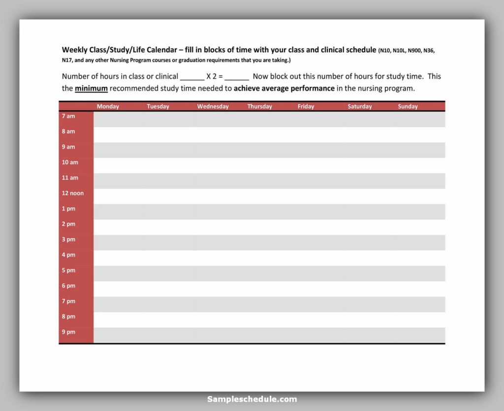 Hourly Schedule Template 30