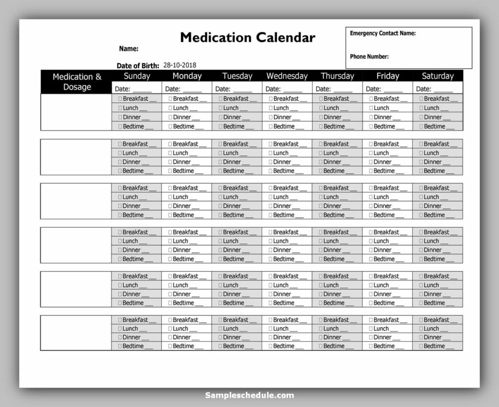 Medication Schedule Template 16