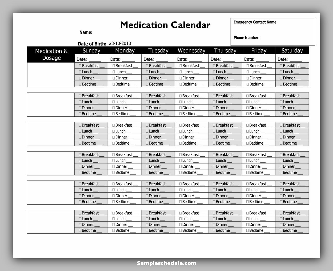 26+ Free Medication Schedule Template - sample schedule