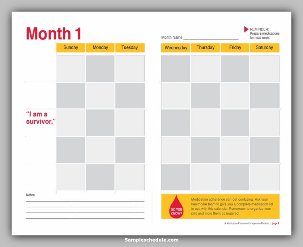 Medication Schedule Template 26 Medication Schedule Template 26