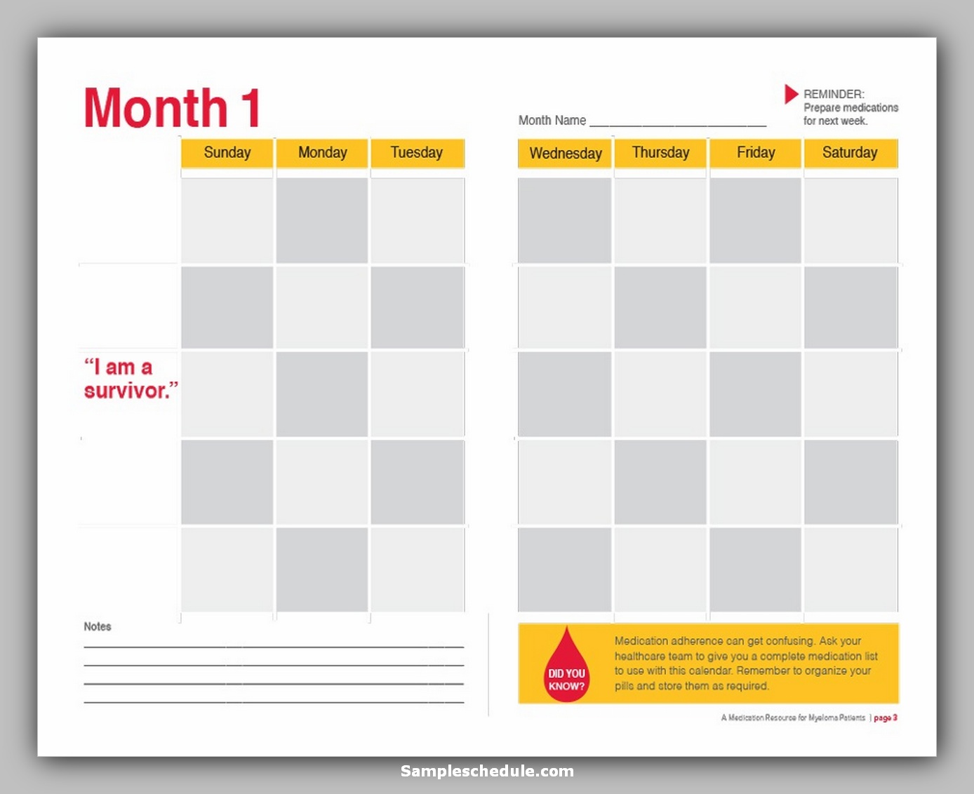 Medication Schedule Template 26