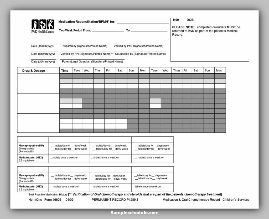 Medication Schedule Template 30