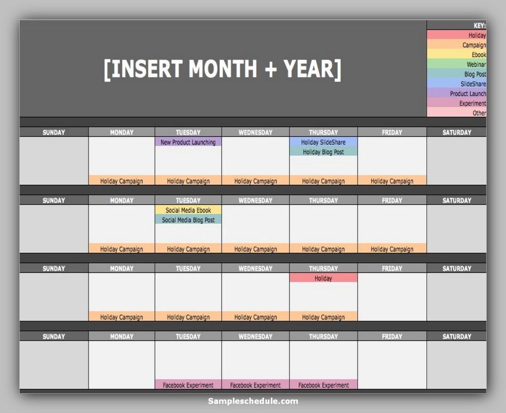 free social media schedule template 03