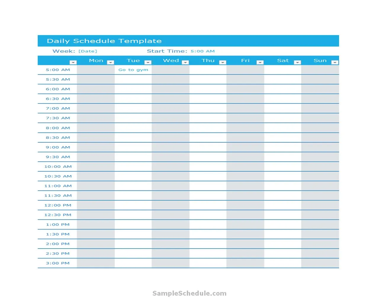 Daily Schedule Template Excel 02