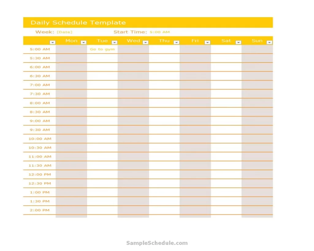 Daily Schedule Template Excel 03
