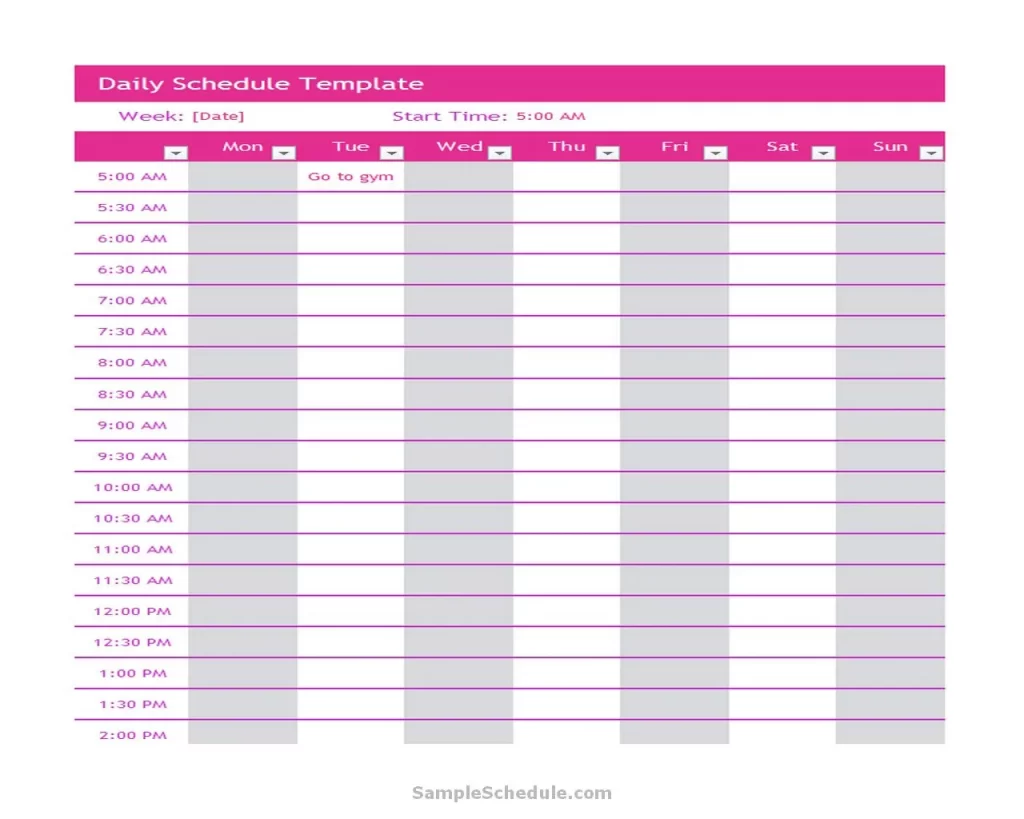 Daily Schedule Template Excel 04