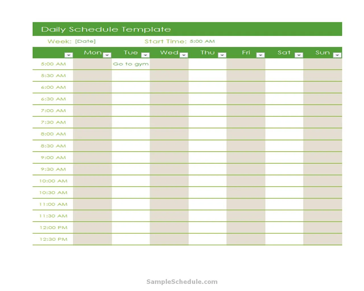 Daily Schedule Template Excel 05