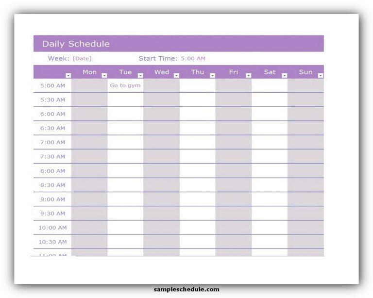 11+ Daily Schedule Template Excel Free - sample schedule