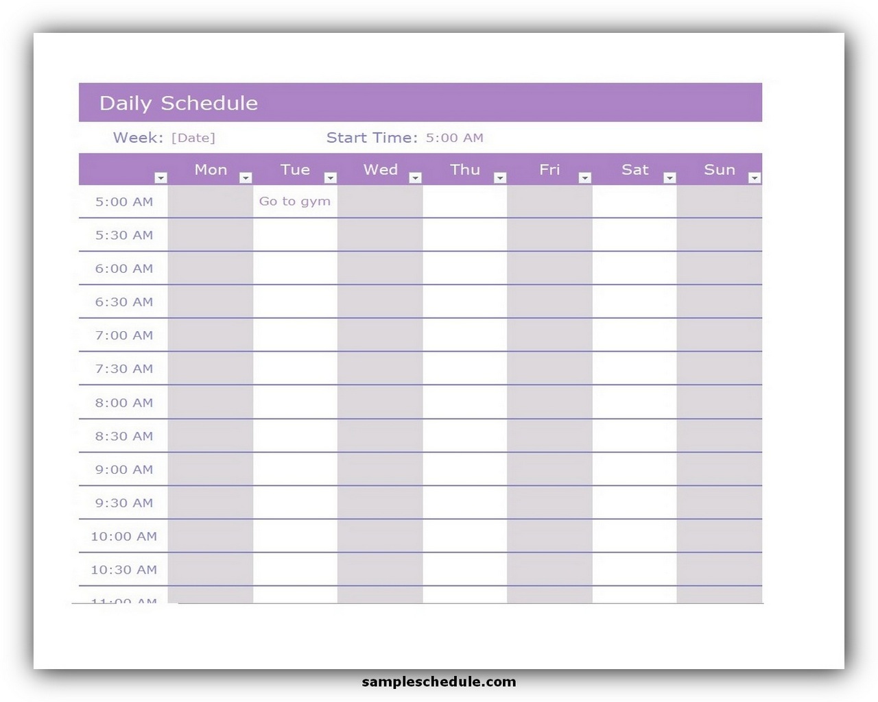 Excel Daily Schedule Template