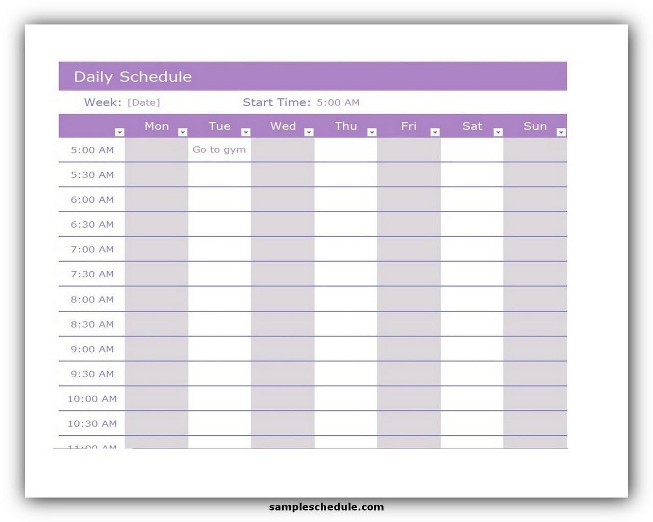 11 Daily Schedule Template Excel Free Sample Schedule