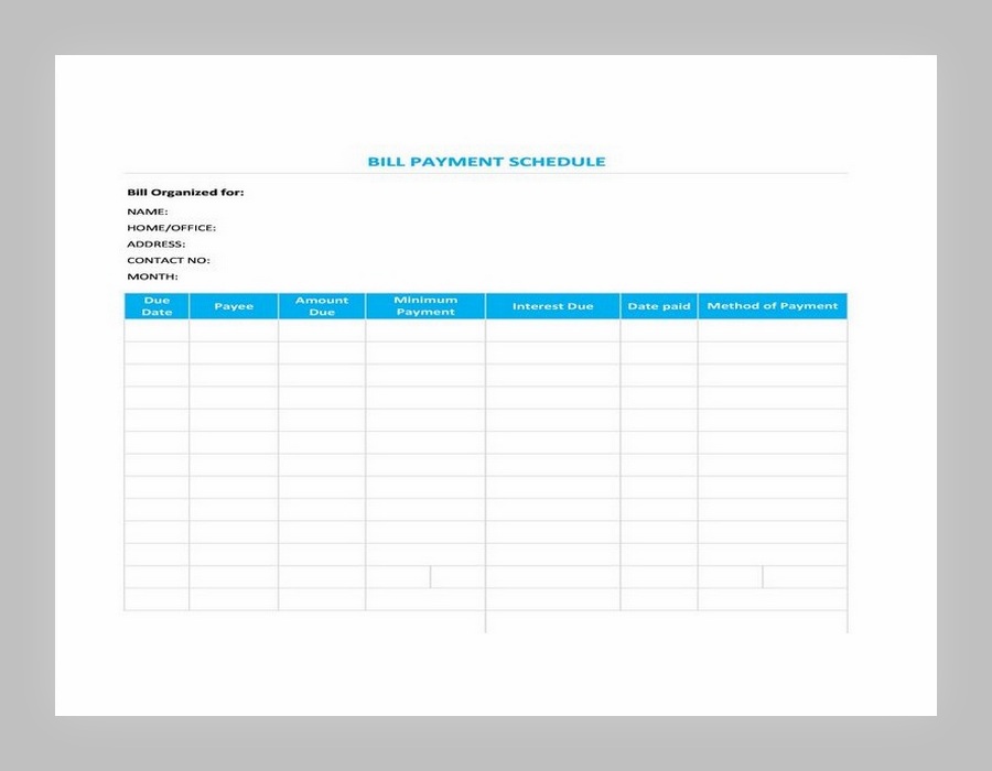 Bill Payment Schedule Template Excel 27