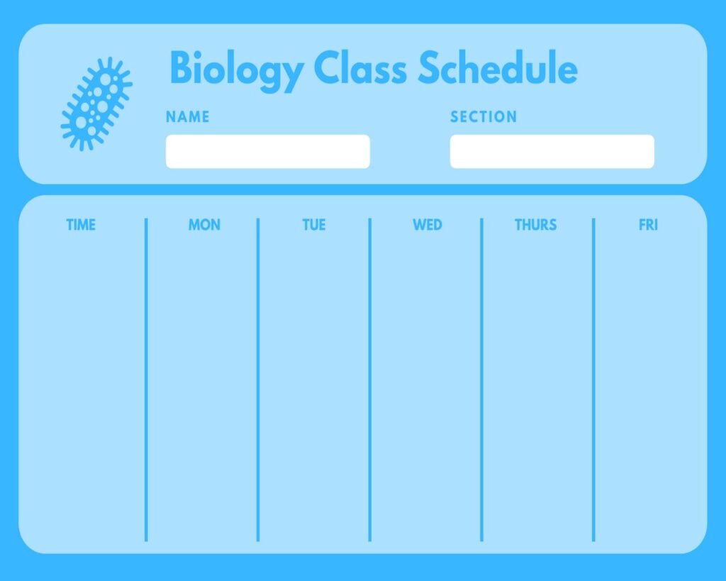 Class Schedule Template Word 01