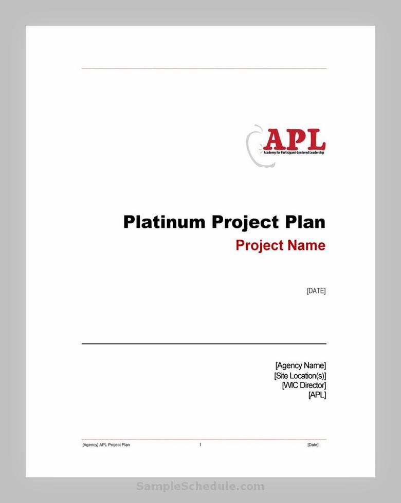 Project Plan Template 30