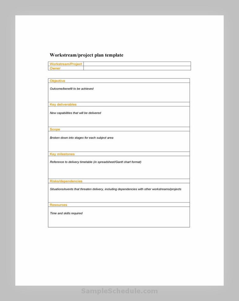 Project Plan Template 31
