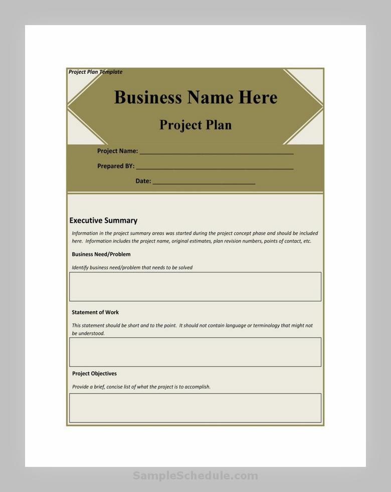 Project Plan Template 41