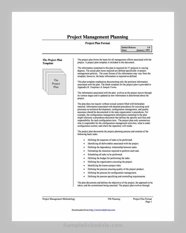 Project Plan Template 45