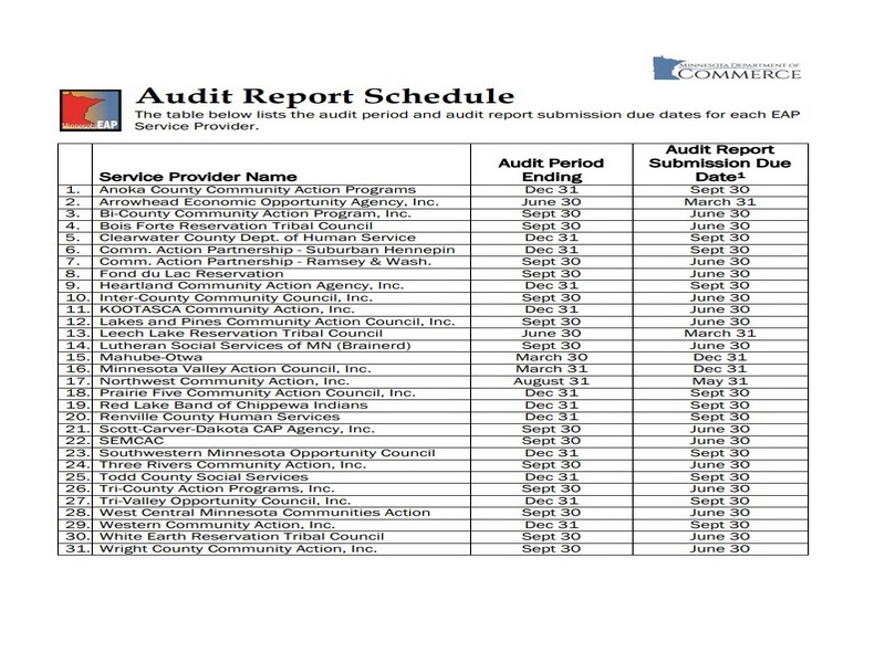Sample Audit Report Schedule Template