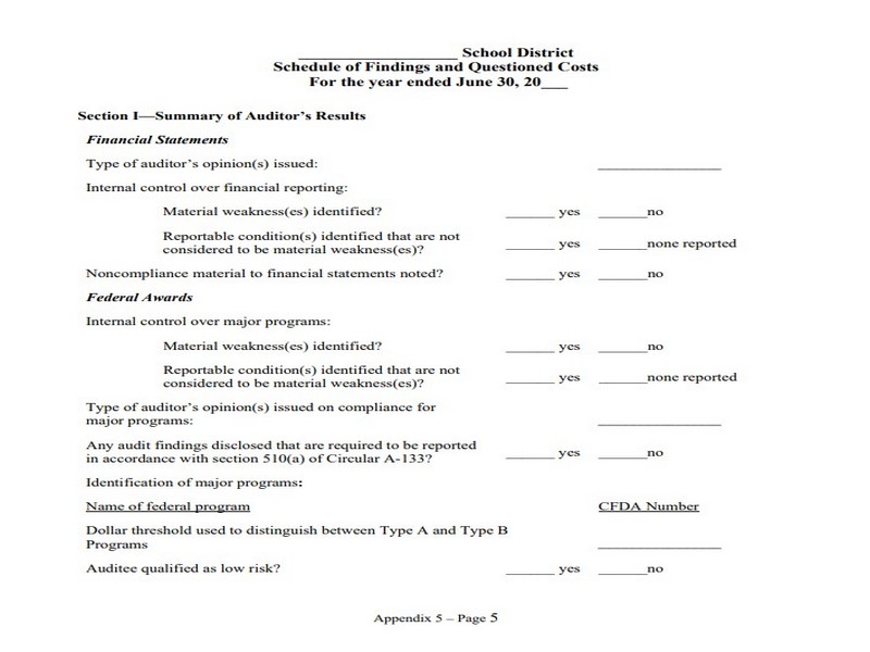 Single Audit Schedule Template