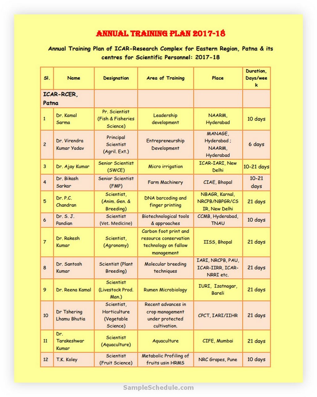 Annual Training Plan Printable