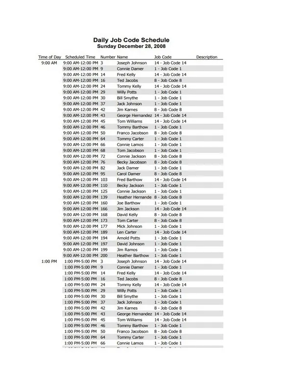 Daily Job Schedule Template