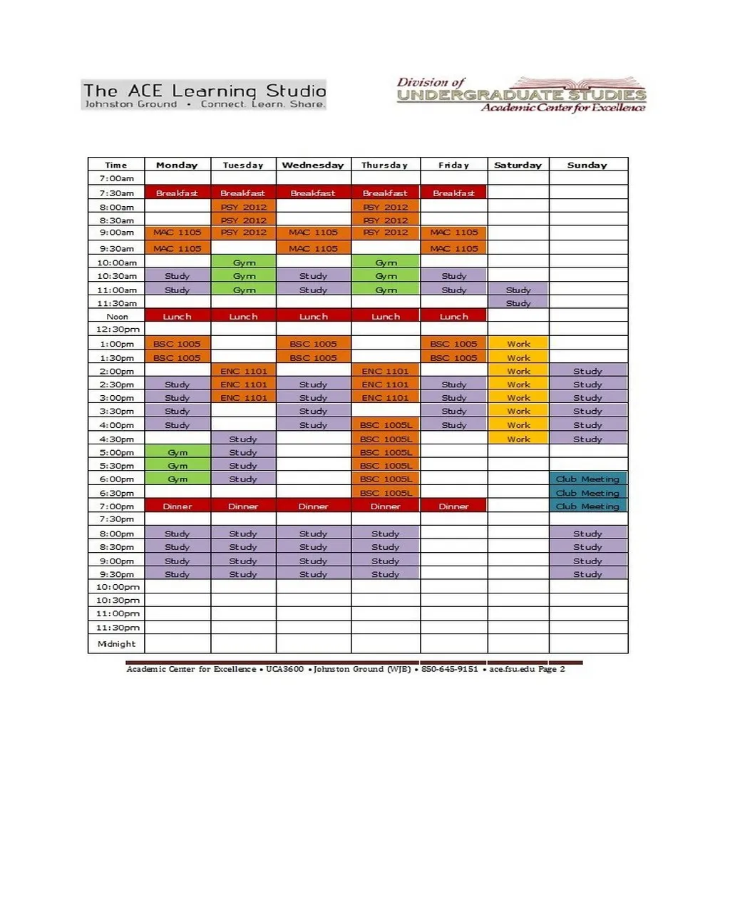 Hourly Schedule Template 07