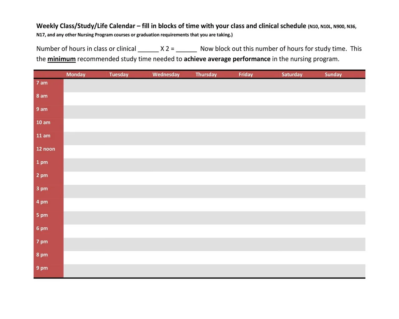 Hourly Schedule Template 30