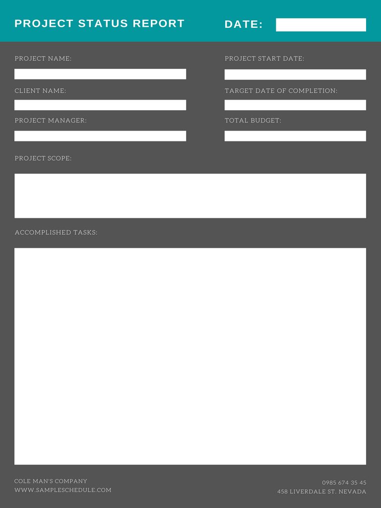Project Status Report Template 04