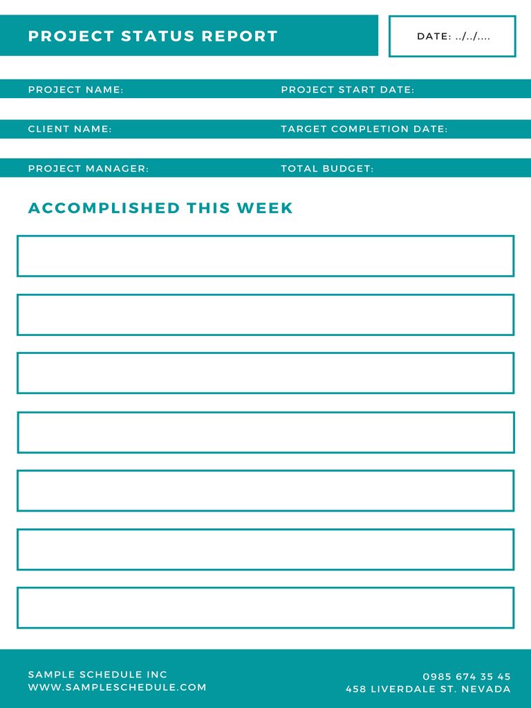 Project Status Report Template 06