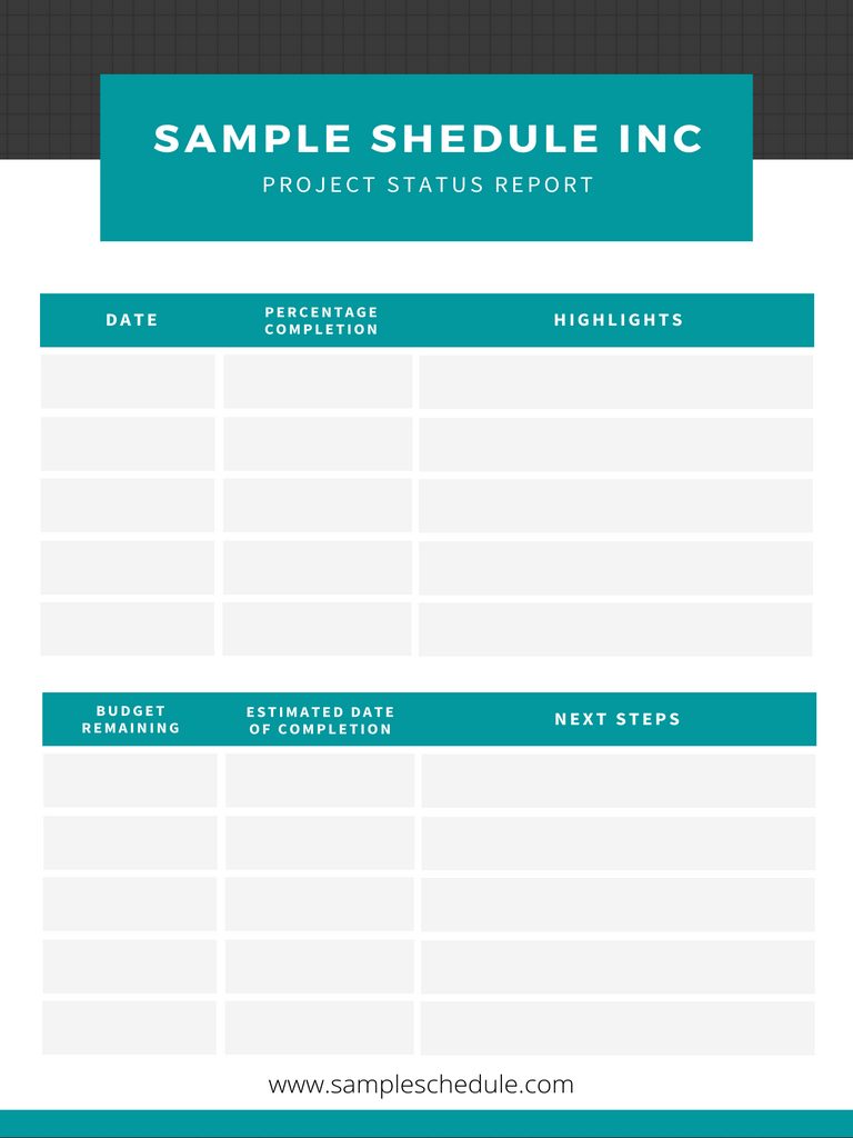 Project Status Report Template 08