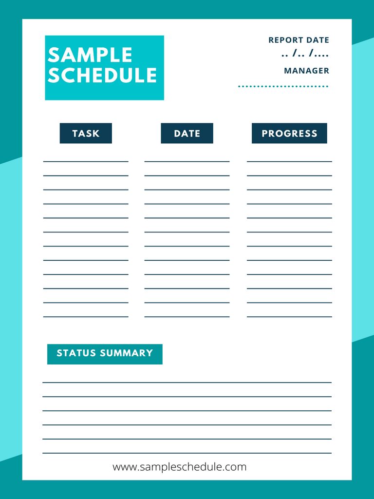 Project Status Report Template 13