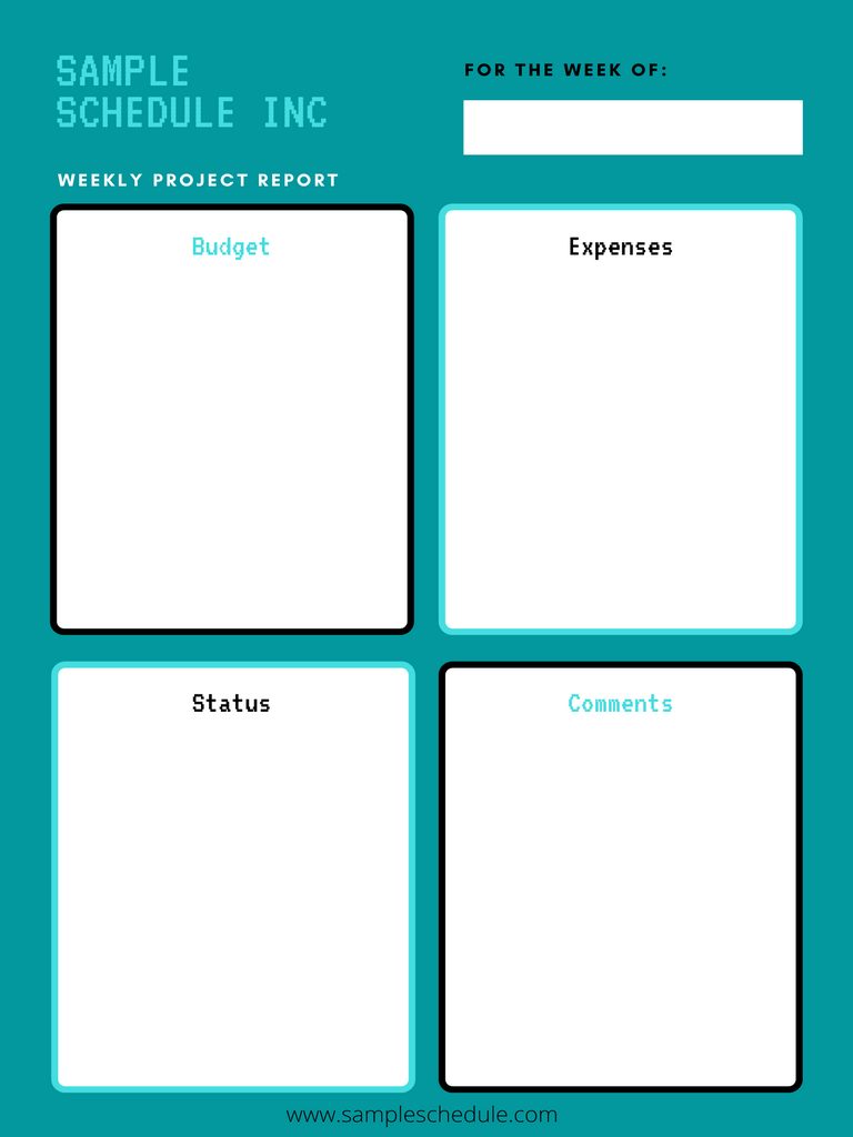 Project Status Report Template 16