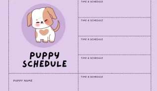 5 month old puppy schedule printable