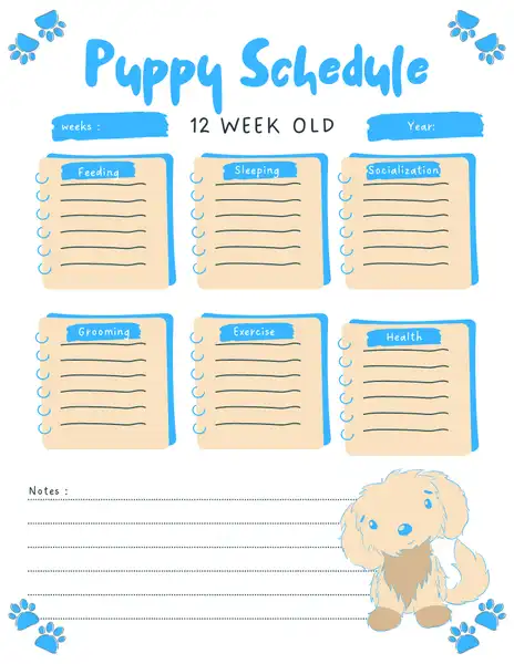 12 Week Old Puppy Schedule Template