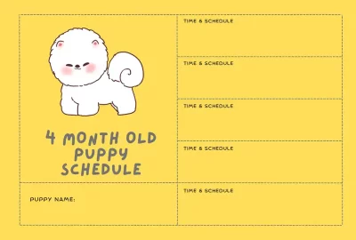 4 month old puppy schedule