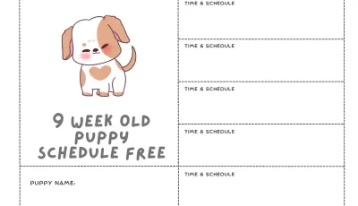 9 Week Old Puppy Schedule Free