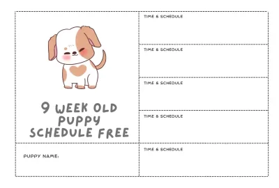 9 Week Old Puppy Schedule Free