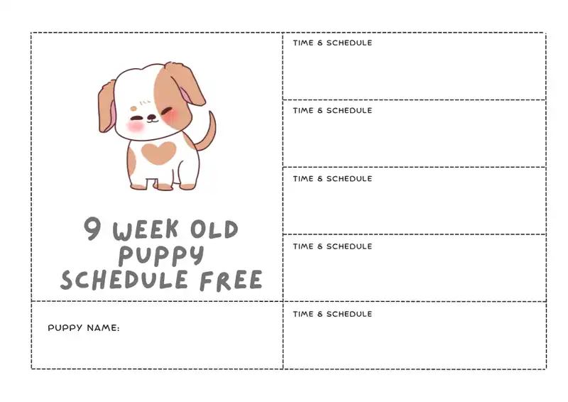 9-week-old-puppy-schedule-free-sample-schedule