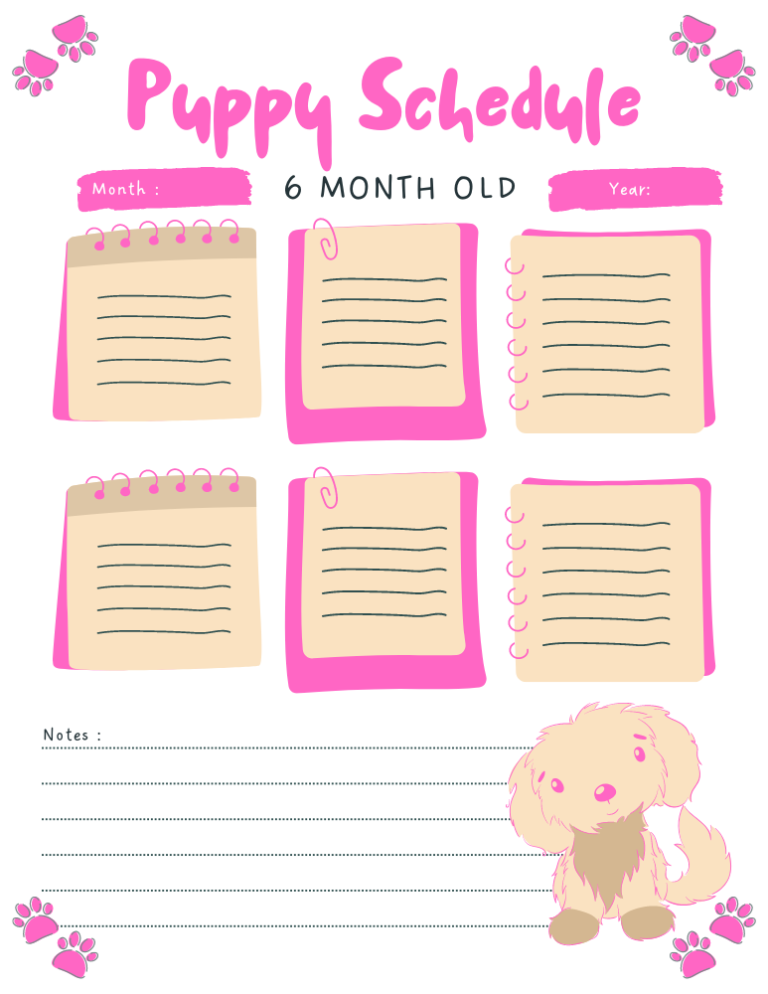 Powerful 6 Month Old Puppy Schedule (Introducing, Feeding, Training