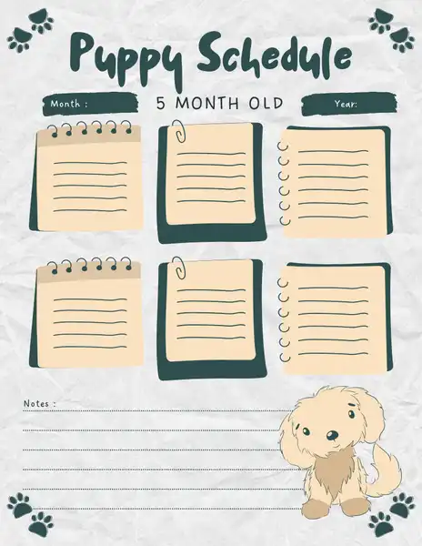 cute modern 5 month old puppy schedule