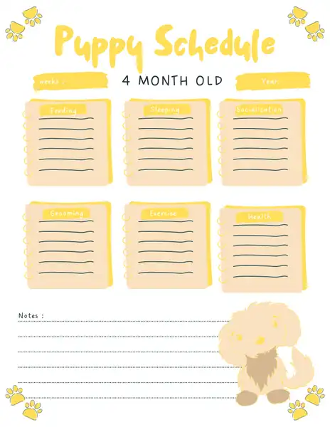 printable 4 month old puppy schedule