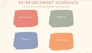 reinforcement schedules