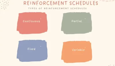 reinforcement schedules